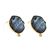 304 Stainless Steel Pave Natural Paua Shell Stud Earring Findings STAS-Z125-03G-2