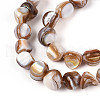 Natural Freshwater Shell Beads Strands SHEL-T020-28-3