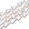 Natural Baroque Pearl Keshi Pearl Beads Strands PEAR-N021-18-4