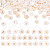  Freshwater Shell Charms SSHEL-TA0001-05-17