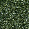 MIYUKI Round Rocailles Beads SEED-X0054-RR0350-3