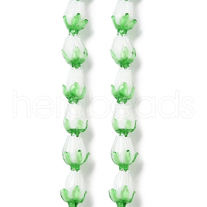 Handmade Lampwork Beads Strands LAMP-Q036-02-1