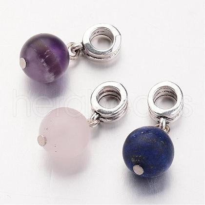 Natural Gemstone European Dangle Charms PALLOY-JF00226-1