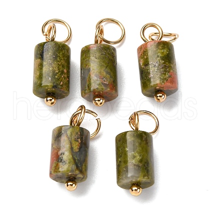 Natural Unakite Column Charms with 304 Stainless Steel Jump Rings G-Q032-01B-1