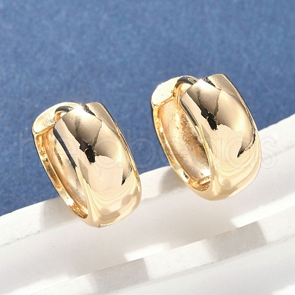 Brass Hoop Earrings EJEW-D320-19G-1