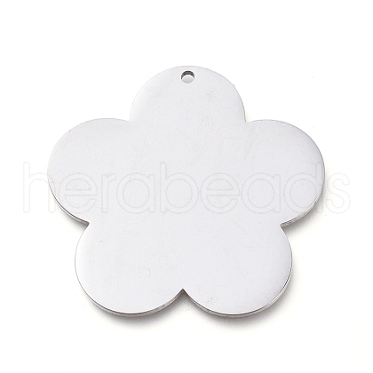 304 Stainless Steel Pendants STAS-L238-097A-P-1
