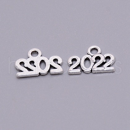 Alloy Charms HJEW-WH0017-19-1