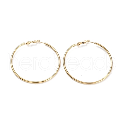 Ring 304 Stainless Steel Hoop Earrings for Women Men EJEW-B049-02F-G-1