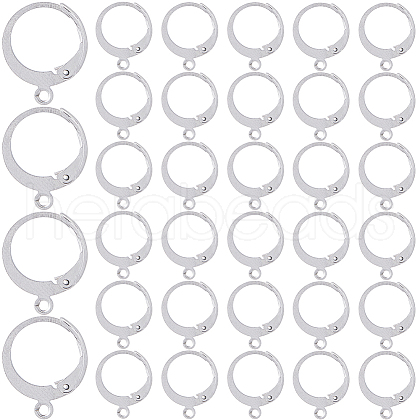 SOFPLATE 304 Stainless Steel Leverback Earring Findings STAS-SP0001-02B-1