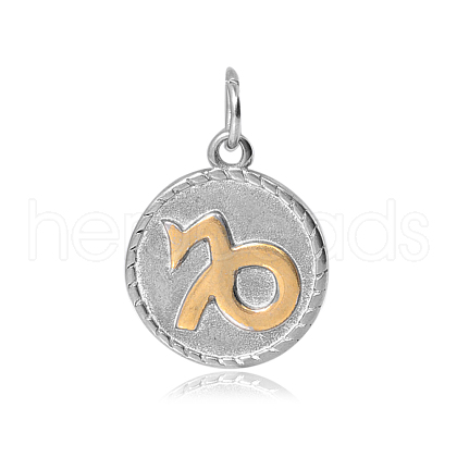 316 Stainless Steel Pendants STAS-S045-40J-1