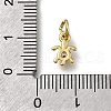 Brass Micro Pave Cubic Zirconia Pendants X-ZIRC-I070-051G-3
