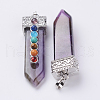 Natural Amethyst with Synthetic & Natural Mixed Stone Chakra Big Pendants G-E415-A18-2