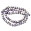 Natural Purple Turquoise Beads Strands G-L595-C04-01-3