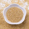 MIYUKI Delica Beads X-SEED-J020-DB0099-2