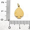 304 Stainless Steel Crystal Rhinestone Pendants STAS-E550-18G-3