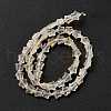 Transparent Glass Beads Strand X1-GLAA-F112-04K-4