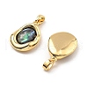 Brass Pave Natural Paua Shell Pendants KK-B129-08G-2