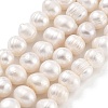 Natural Cultured Freshwater Pearl Beads Strands PEAR-C003-14D-2