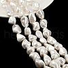 Shell Pearl Beads Strands X1-BSHE-C008-01-2