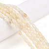 Natural White African Opal Beads Strands G-N346-02A-10-3