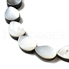 Natural Black Lip Shell Beads Strands BSHE-D300-04B-3