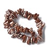 Dyed Natural Trochus Shell Beads Strands SSHEL-C013-09B-2