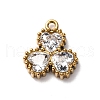 304 Stainless Steel Pendants STAS-D361-03G-02-1