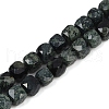Natural Kambaba Jasper Beads Strands G-H078-C46-6mm-2