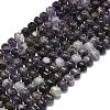Natural Amethyst Beads Strands G-P573-B04-01-2