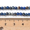 Dyed Natural Regalite/Imperial Jasper/Sea Sediment Jasper Beads Strands G-B124-C05-01-2
