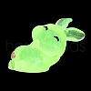 Luminous Resin Rabbit Ornament DJEW-R011-02F-4