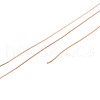 10M 304 Stainless Steel Wire TWIR-N005-0.3mm-RG-2