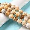 Natural Crazy Lace Agate Beads Strands G-H298-A12-05-2