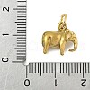 304 Stainless Steel Charms STAS-P391-01C-G-3