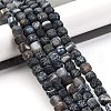Natural Weathered Agate Beads Strands G-G177-E19-04-1