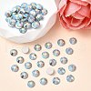 Preciosa® MAXIMA Crystal No Hotfix Flatback Stones Y-PRC-NSS10-31110-200-2