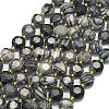 Natural Black Netstone Beads Strands G-C116-A147-01-2