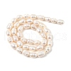 Natural Cultured Freshwater Pearl Beads Strands PEAR-I007-01C-05A-3