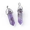 Natural Amethyst Double Terminated Pointed Pendants G-S240-10-1