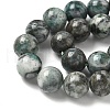 Natural Dioptase Beads Strands G-D302-02-10mm-4