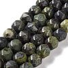 Natural Dragon Blood Beads Strands G-NH0021-A10-02-1