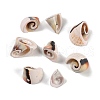 Natural Shiva Eye Shell Pendants SHEL-K009-17E-1