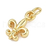 Brass Pendants KK-L231-09G-2