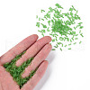 Transparent Glass Bugle Beads SEED-N005-001-C02-5
