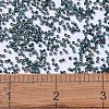 MIYUKI Delica Beads SEED-X0054-DB1006-4