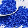 Baking Paint Glass Seed Beads SEED-S042-05B-77-1