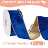Polyester Velvet Wired Ribbon SRIB-WH0072-04C-2