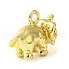 Rack Plating Brass Pendant KK-G501-19G-2