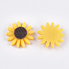Resin Cabochons CRES-T010-63G-2