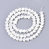 Natural Trochid Shell/Trochus Shell Bead Strands X-SSHEL-N034-68A-2